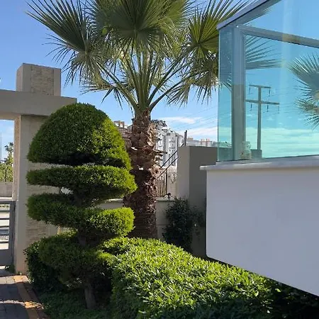 Palm Appartement *